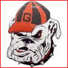 icon_sports_uga